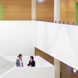 eccl tiziana angelica