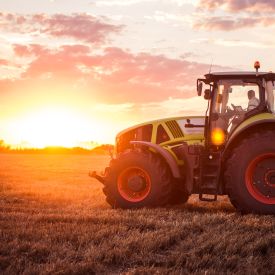 agriculture viticole