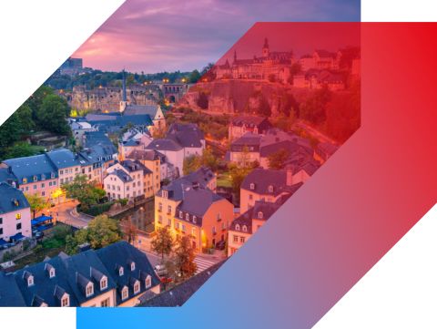 team picture white background